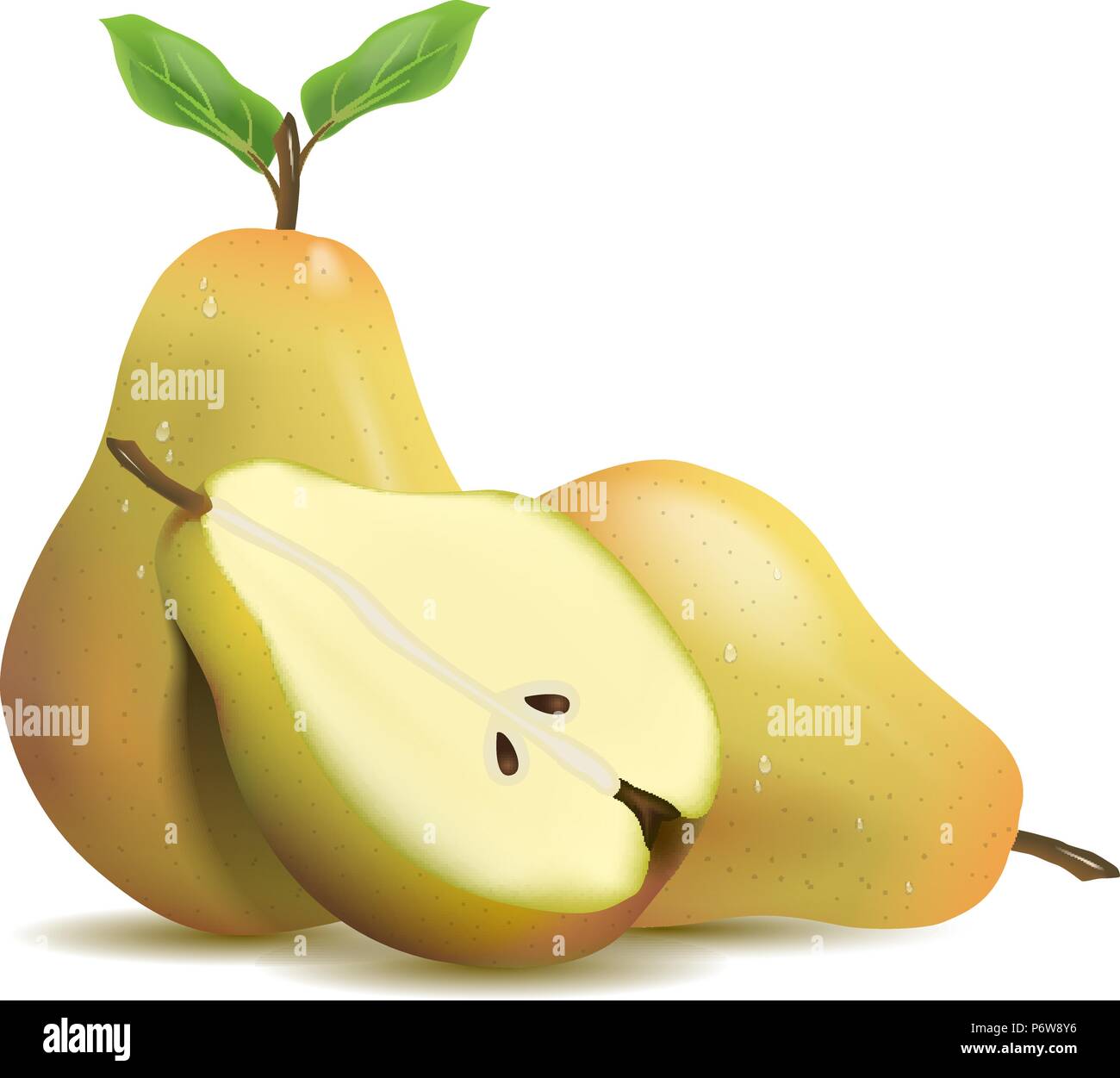 Realistic illustration pear isolated on white background Stock Vector