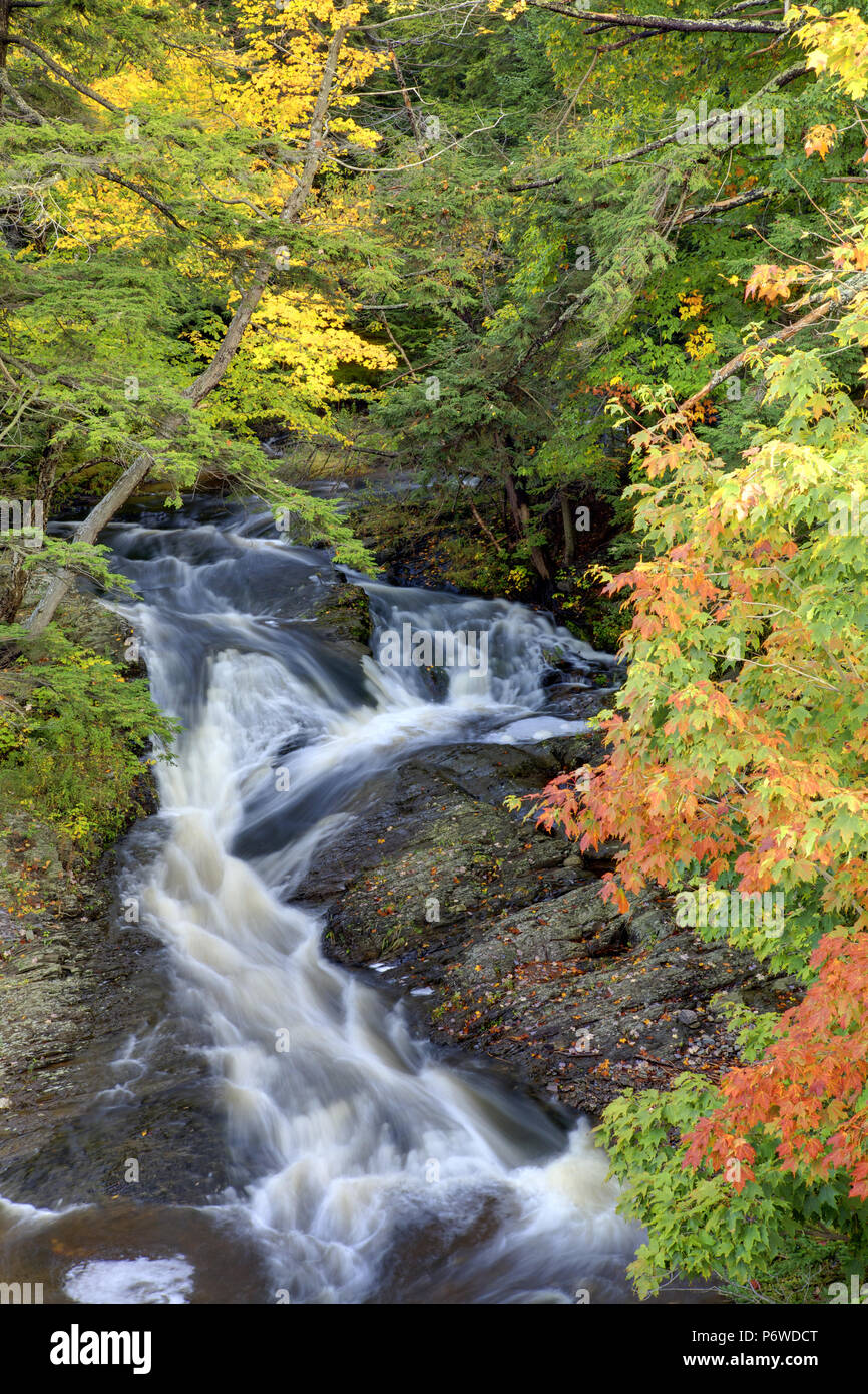Flowing water woods hi-res stock photography and images - Alamy