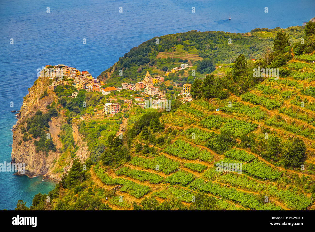 vineyard terraces overlooking the sea and ancient village Stock Photo