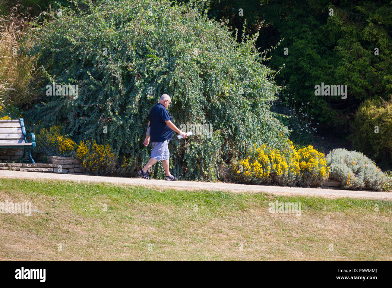 Hastings, East Sussex, UK. 3rd Jul, 2018. UK Weather: Hot and sunny start to the day in Hastings with lots of people walking in Alexandra park, landscaped by renowned gardener Robert Marnock in 1878. Covering 109 acres it is a grade 2 designated site. Temperatures are expected to exceed 21°C. A man walks down a gentle slope on a park path carrying a newspaper in one hand swinging his arm. Photo Credit: Paul Lawrenson / Alamy Live News Stock Photo