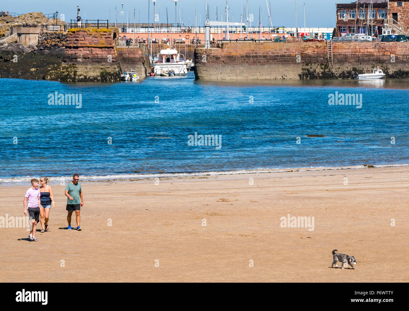 West bay beach, North Berwick, East Lothian, Scotland, United Kingdom