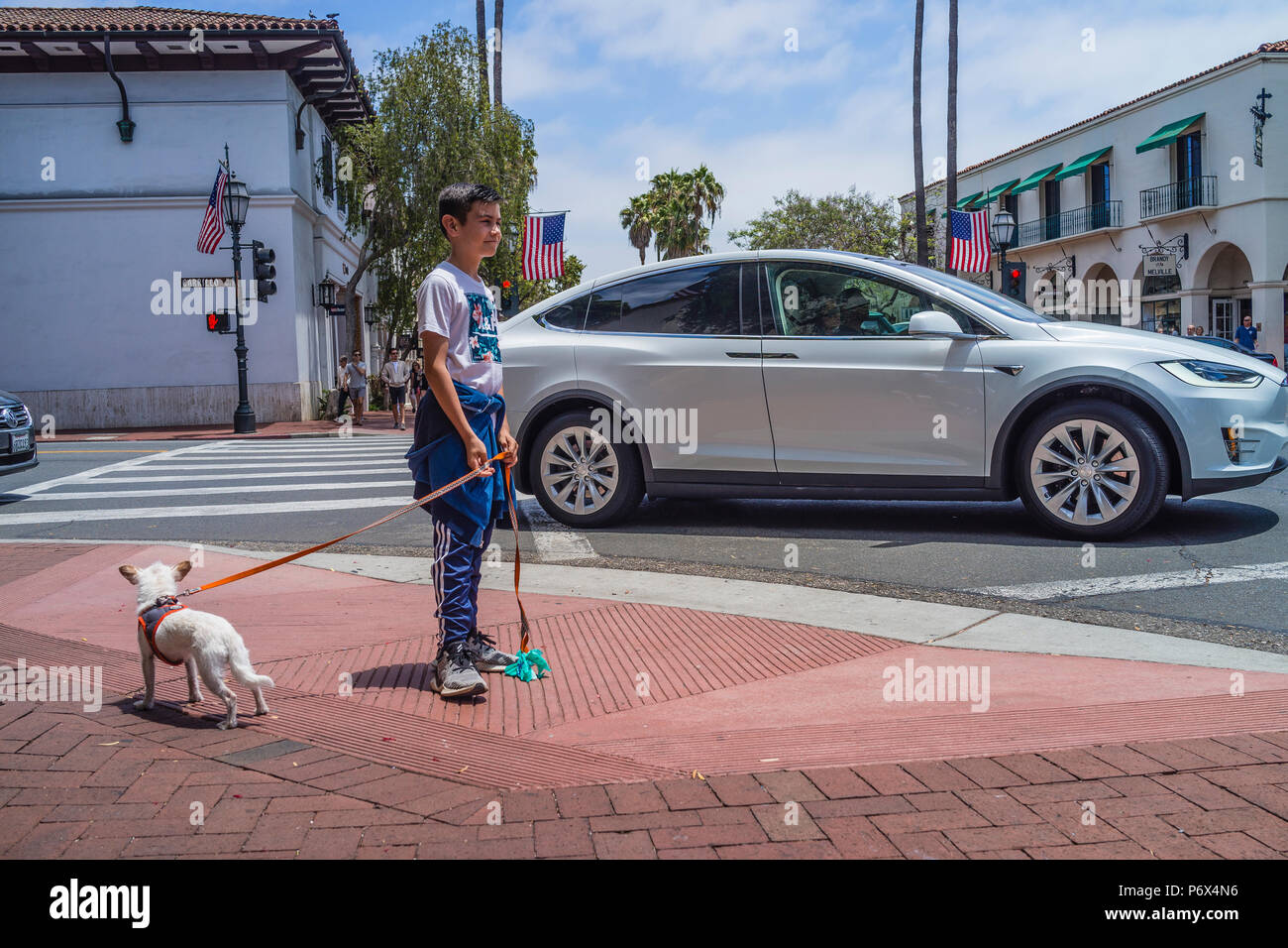 Why Do Dogs Walk Into Corners