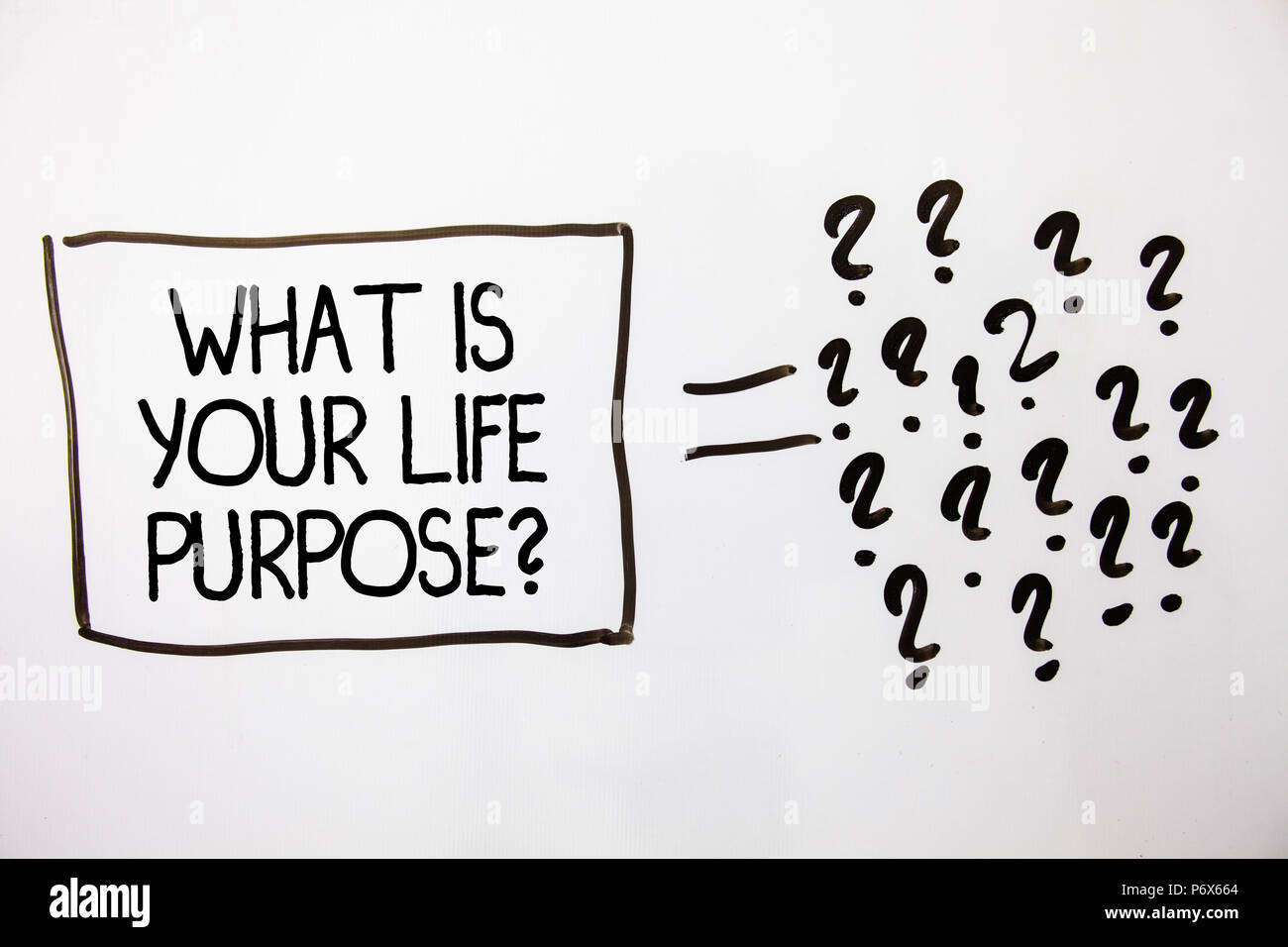 Text Sign Showing What Is Your Life Purpose Question Conceptual Photo Personal Determination Aims Achieve Goal White Background Equal Sign Question M Stock Photo Alamy