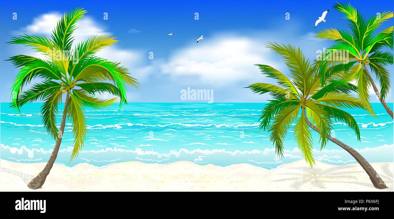 Landscape of the tropical shore. Landscape of the sea shore with palm trees. Sea shore with palm trees, blue sky and white clouds. Palm trees against  Stock Vector