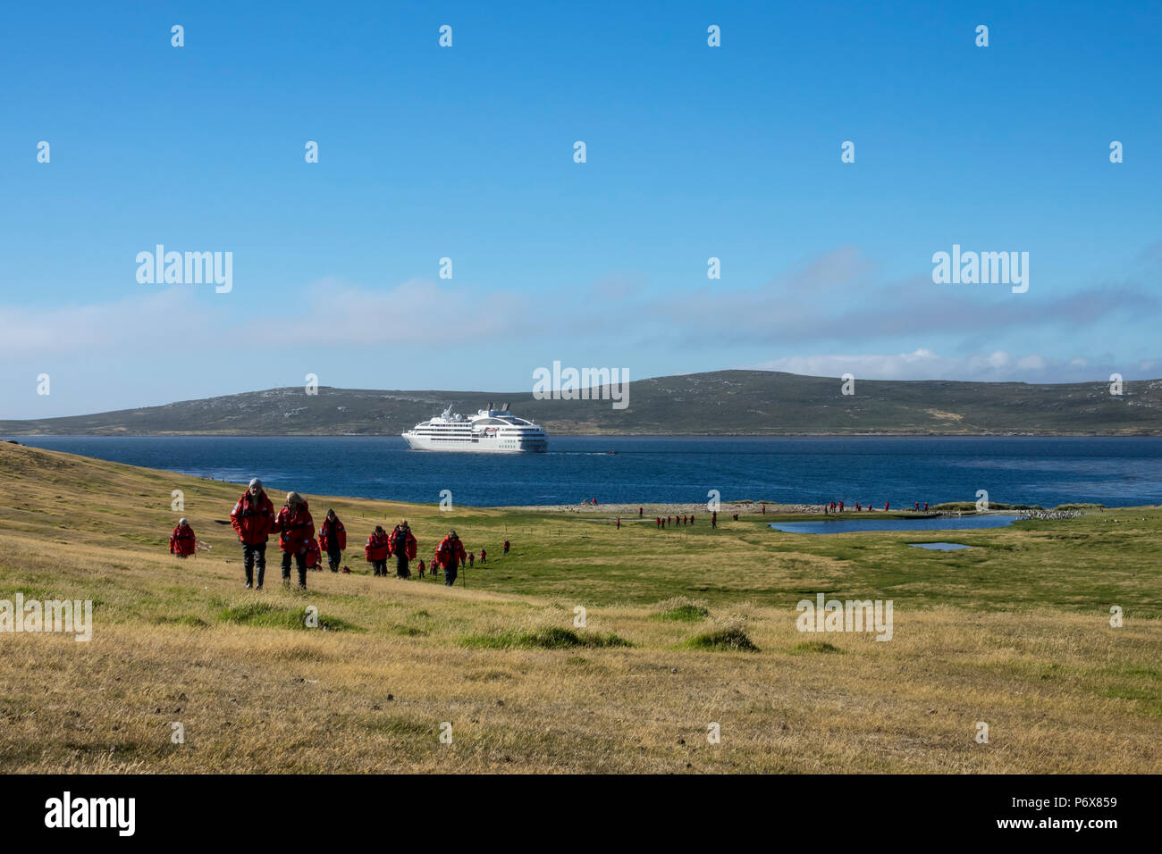 Expedition cruise ship passengers hiking at Grave Cove, West Falkland, Falkland Islands, with Le Lyrial in the background Stock Photo