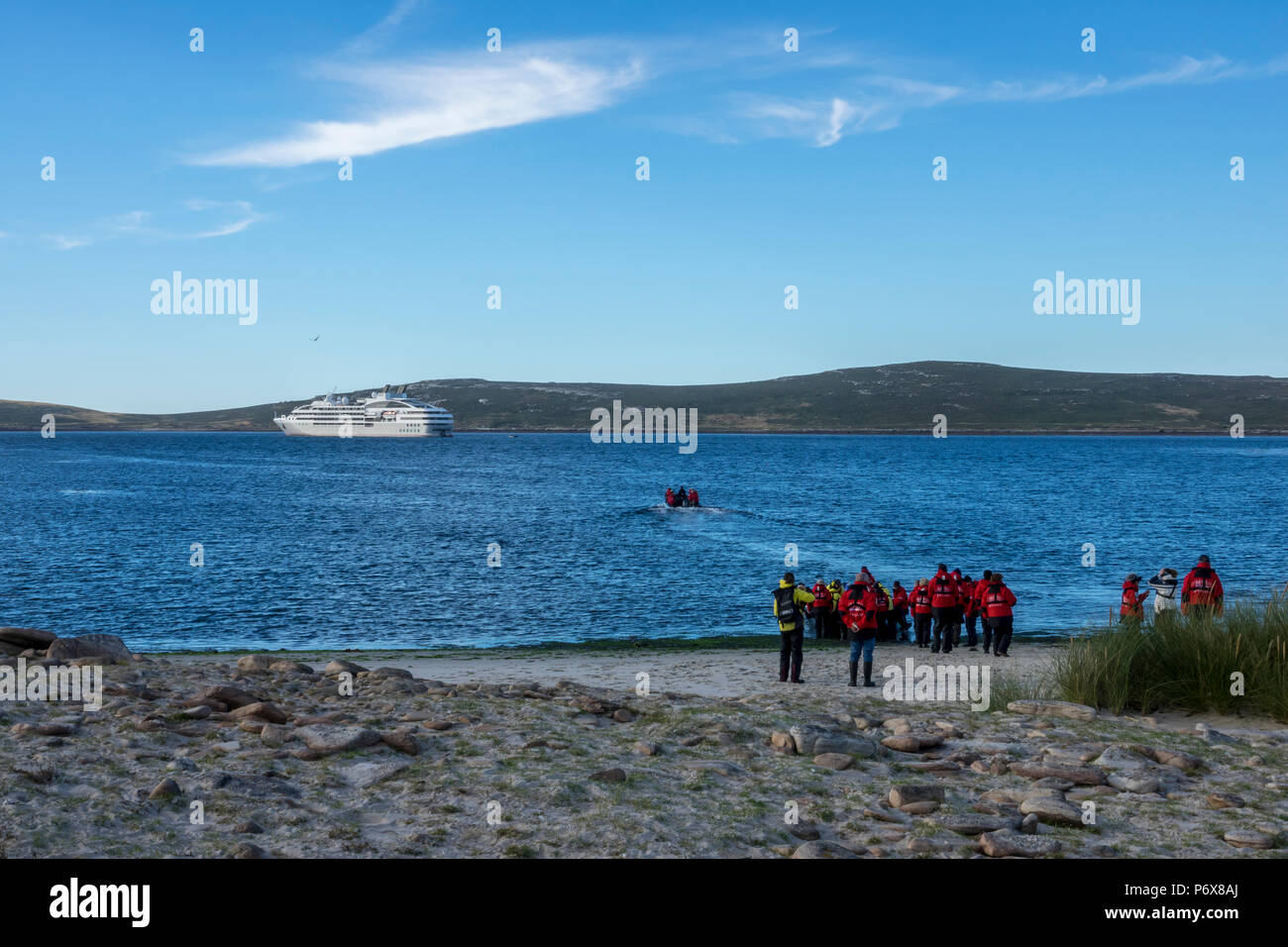 Zodiacs transporting expedition ship passengers to Le Lyrial from the landing site at Grave Cove, West Falkland, Falkland Islands Stock Photo