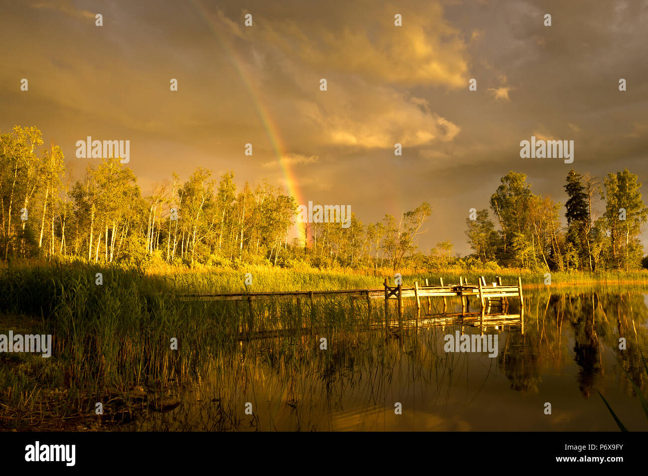 Midsummer night by the lake, Latvia Stock Photo