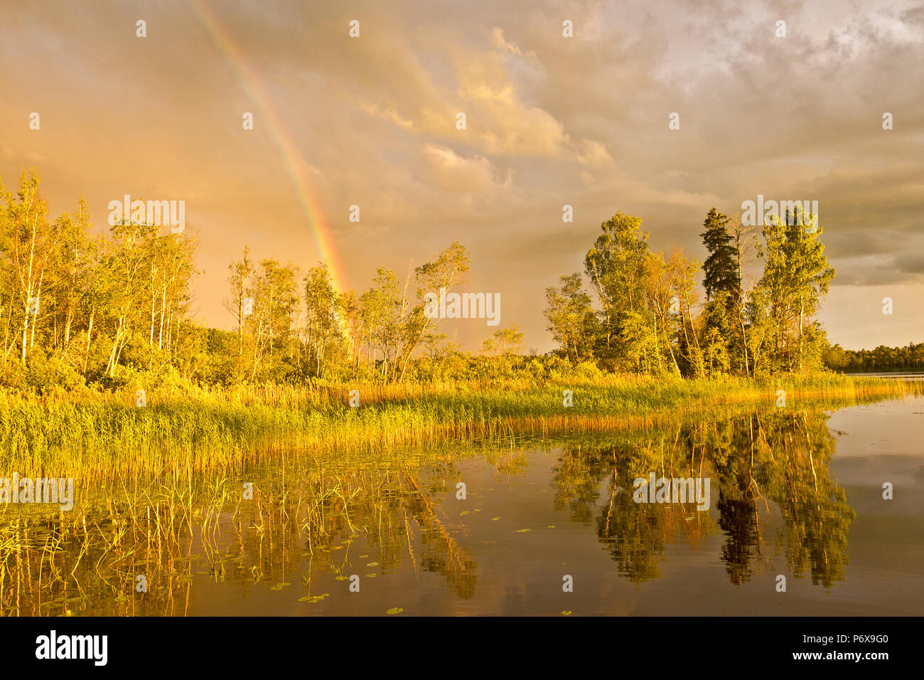 Beautiful rainbow in sunset, Latvia Stock Photo