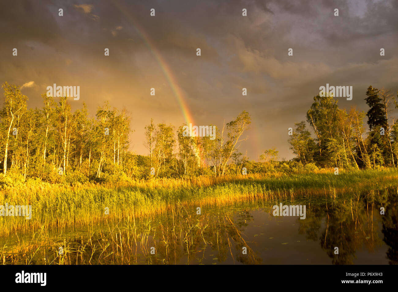 Beautiful rainbow in sunset, Latvia Stock Photo