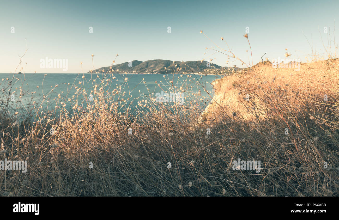 Dry grass with still sea on a background. Coastal landscape of Zakynthos island, Greece. Photo with tonal correction effect Stock Photo