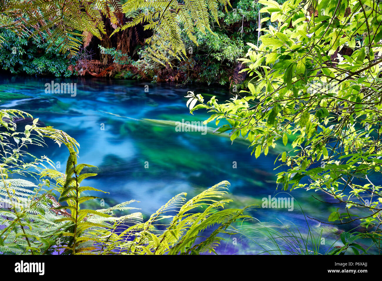 Crystal Clear River In South Waikato New Zealand Stock Photo Alamy Crystal Clear River In South Waikato New Zealand Stock Photo Alamy