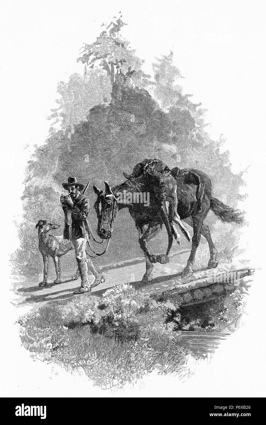 Engraving of a kangaroo hunter carrying home the carcass of a kangaroo, Australia. From the Picturesque Atlas of Australasia Vol 3, 1886 Stock Photo