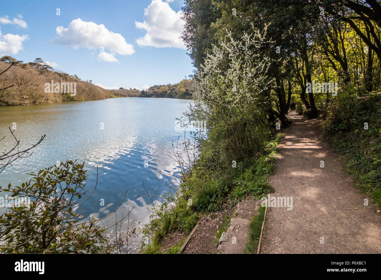 Footpath under trees hi-res stock photography and images - Alamy