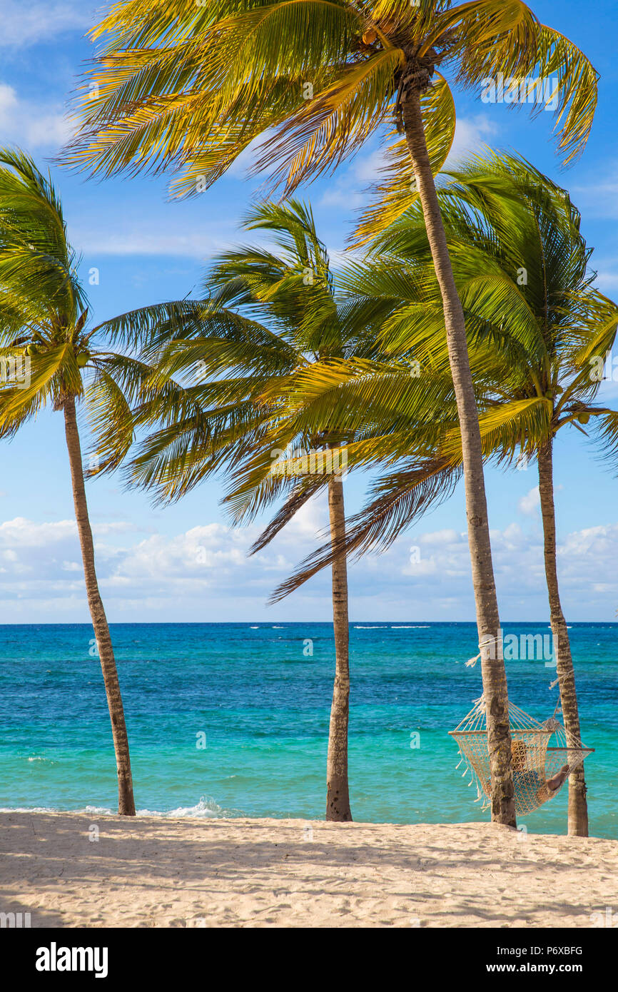 Cuba, Holguin Province, Hammock between palm trees on Playa Guardalvaca