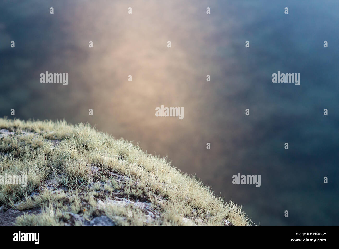 Ramalina siliquosa, also known as sea ivory growing on granite rock on the coast, St Mary's, Isles of Scilly, January Stock Photo