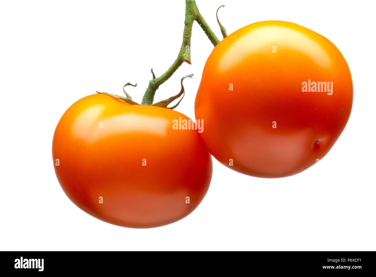 Bunch of red tomatoes isolated on white background Stock Photo - Alamy
