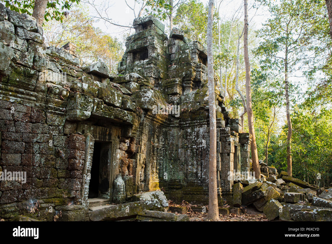 Asia Cambodia Siem Reap Angkor Ta Nei Jungle Temple Stock Photo Alamy