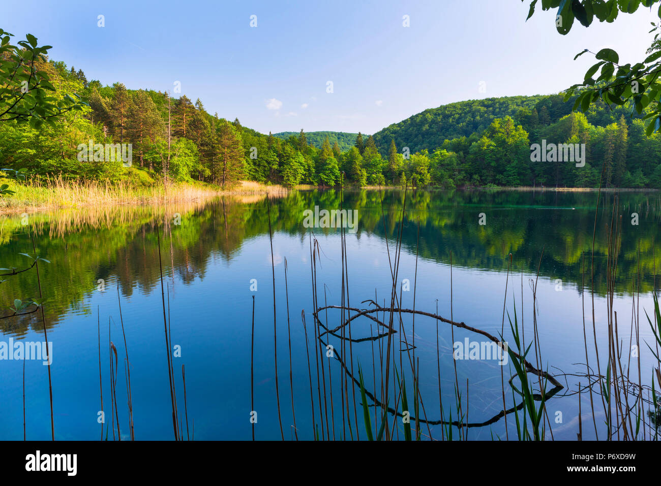 Croatia, Dalmatia, Plitvice lakes national parkk. boardwalk through the high lakes Stock Photo