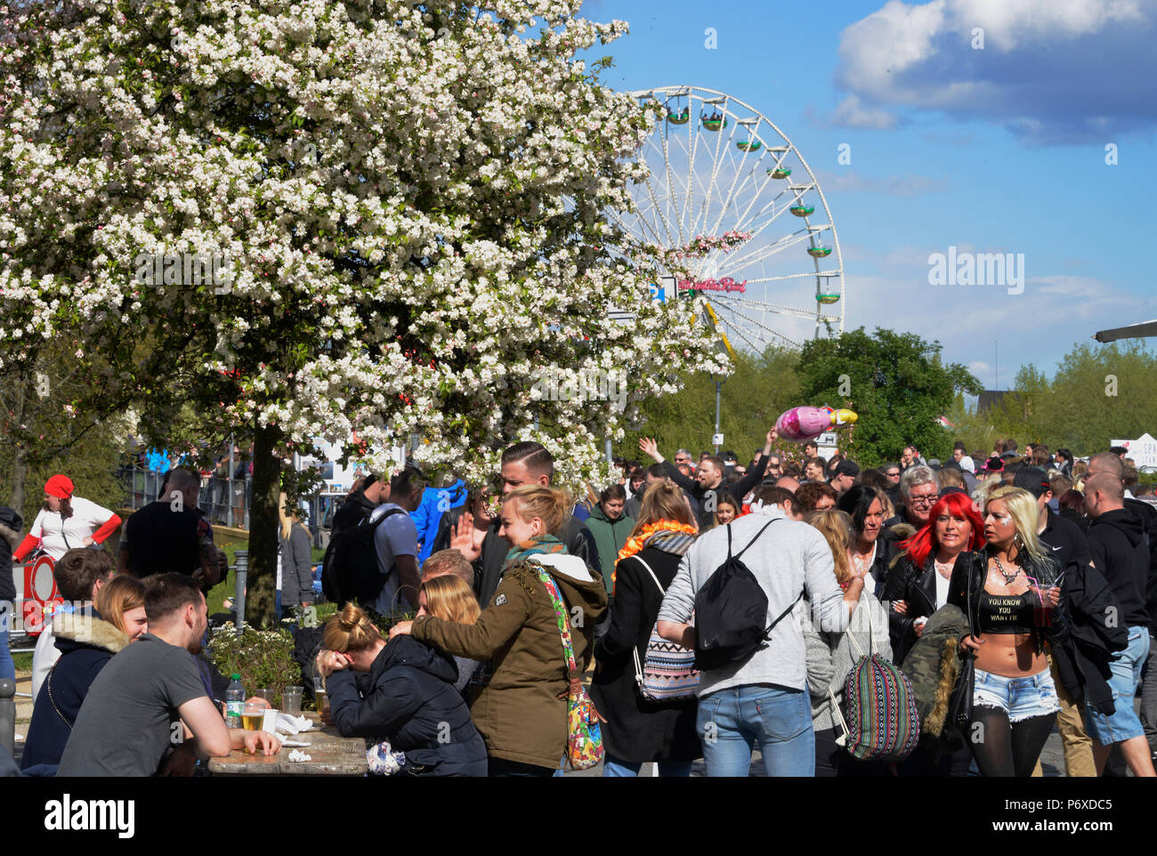 Besucher, Baumbluetenfest, Werder, Havel, Brandenburg, Deutschland, Baumblütenfest Stock Photo