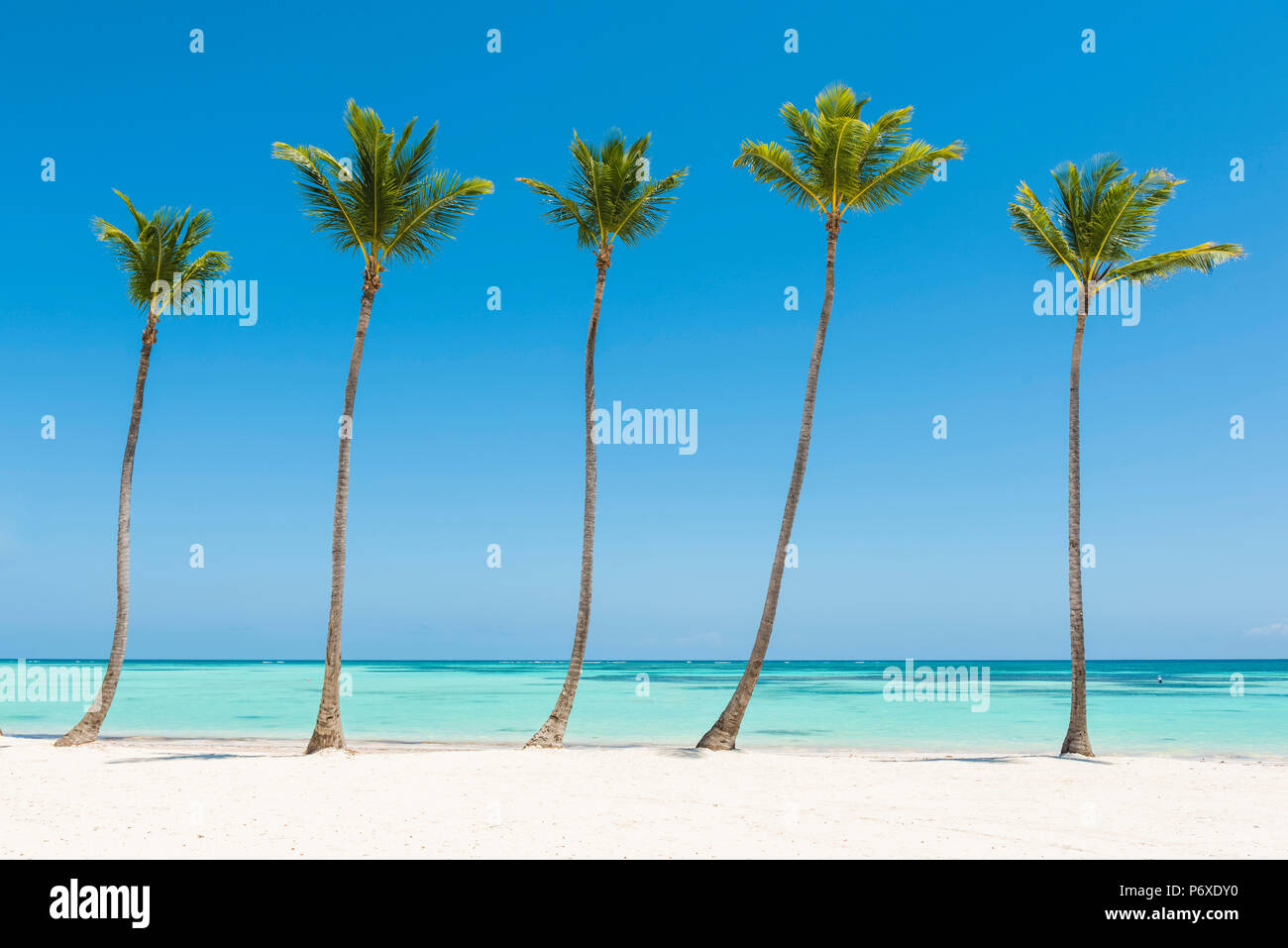 Juanillo Beach (playa Juanillo), Punta Cana, Dominican Republic. Palmfringed beach Stock Photo