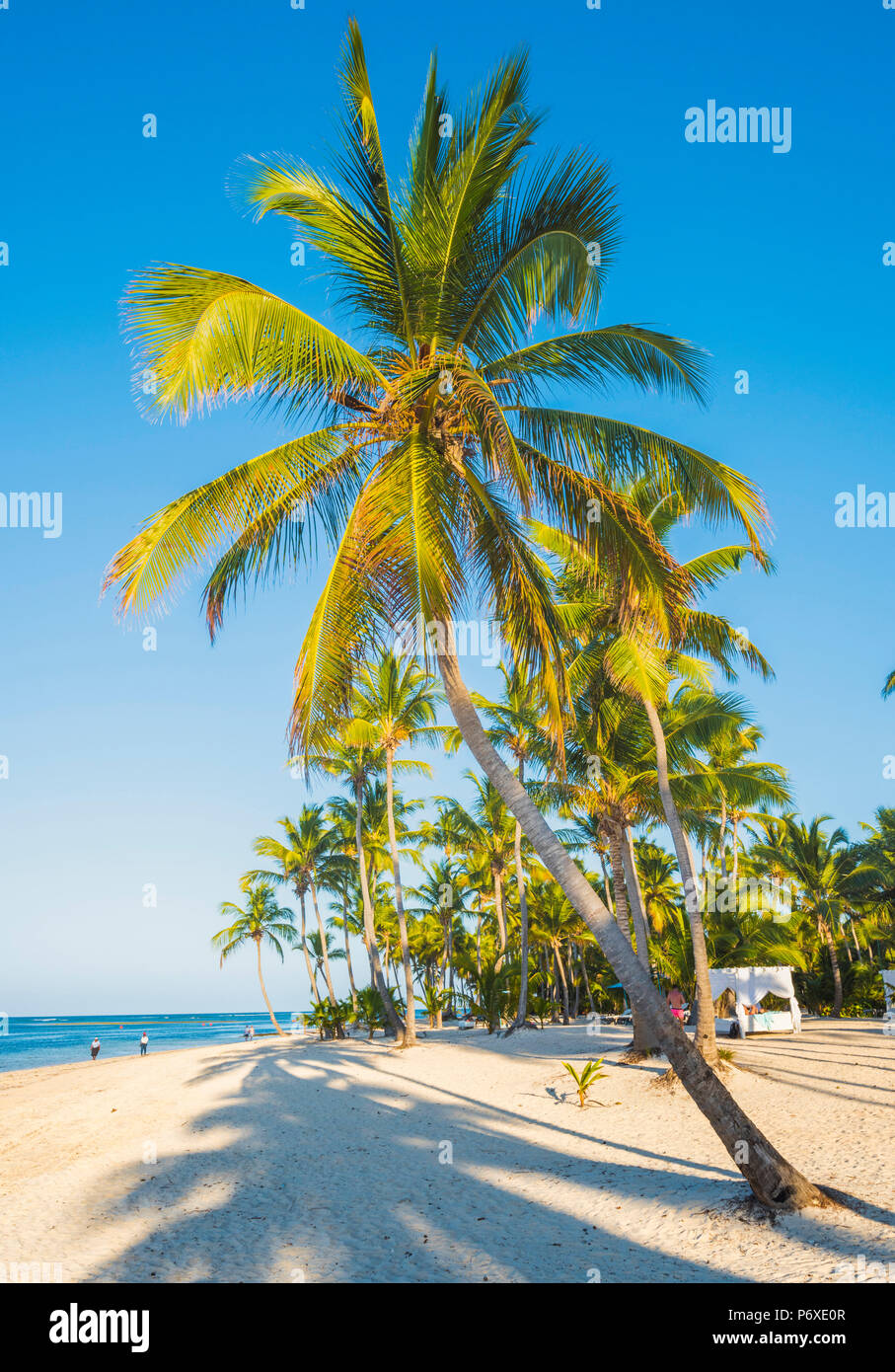 Cabeza de Toro beach, Punta Cana, Dominican Republic. Stock Photo