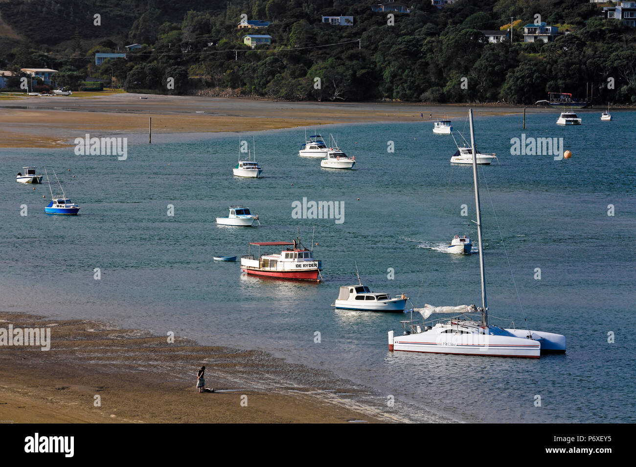 Boats in Mangawhai Harbour in Mangawhai, New Zealand Stock Photo