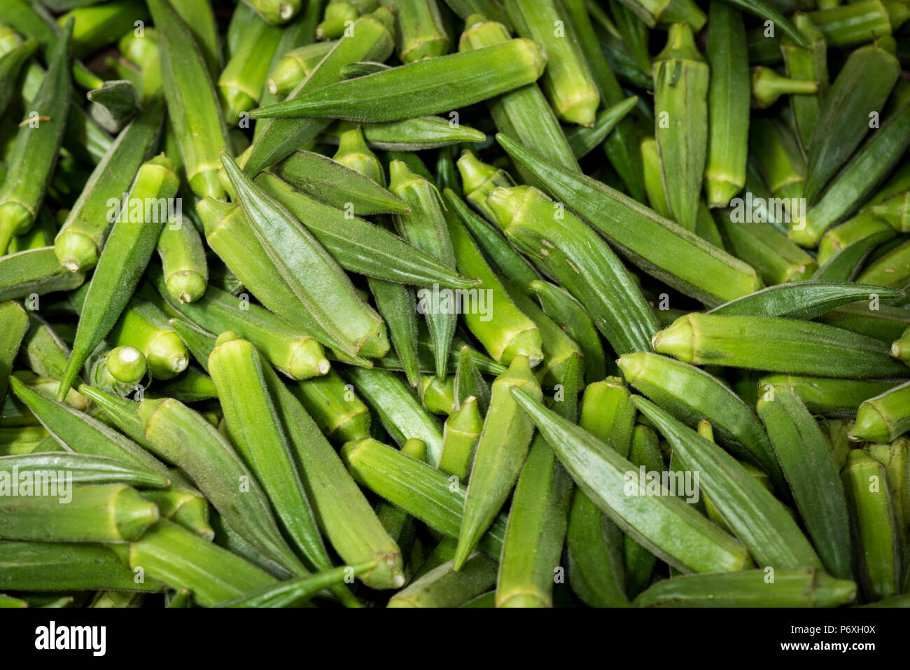 Bin of fresh okra seed pods (Abelmoschus esculentus), a popular subtropical vegetable, at a vegetable market Stock Photo