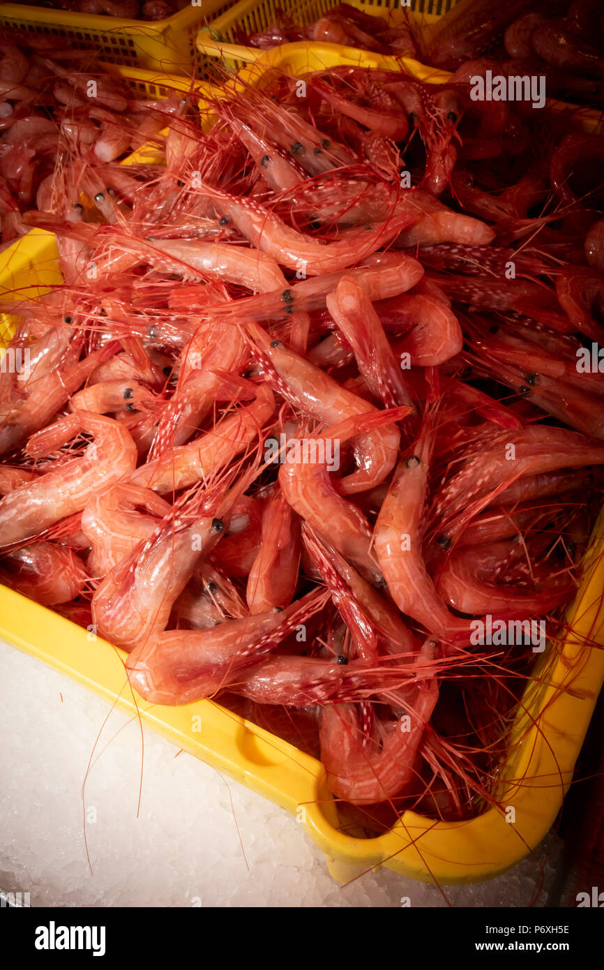 Raw, fresh shrimp at a fish market Stock Photo