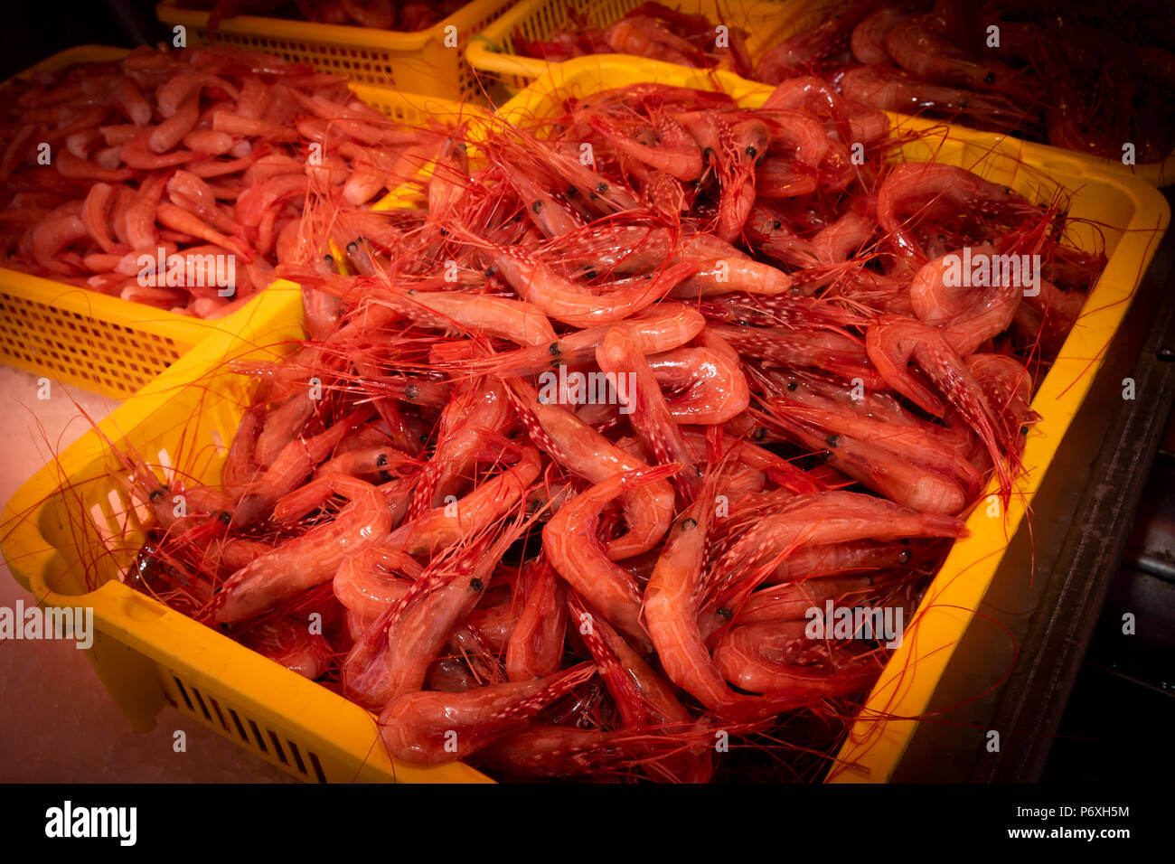 Raw, fresh shrimp at a fish market Stock Photo