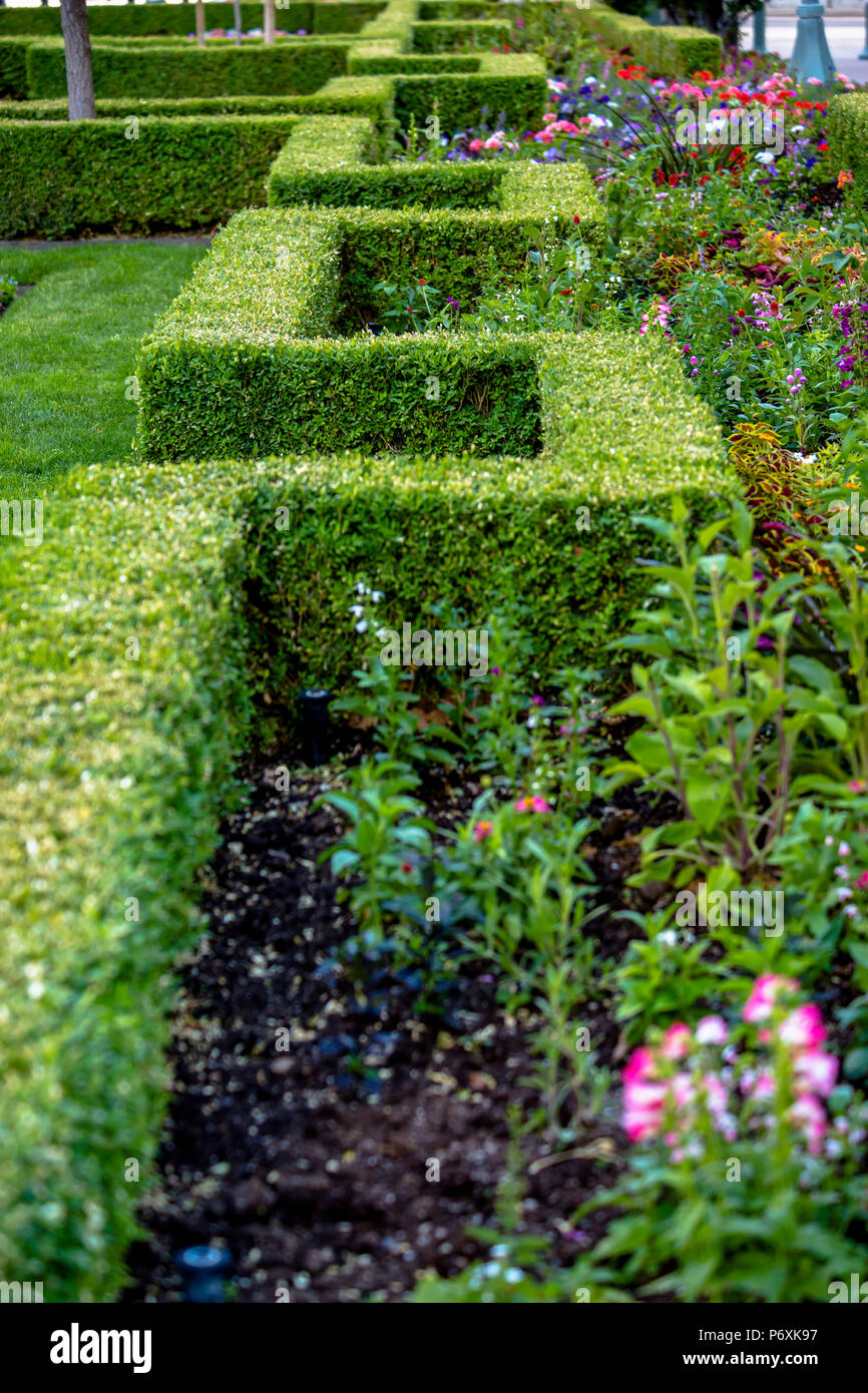 Angular shrubs in garden at Temple Square Stock Photo - Alamy