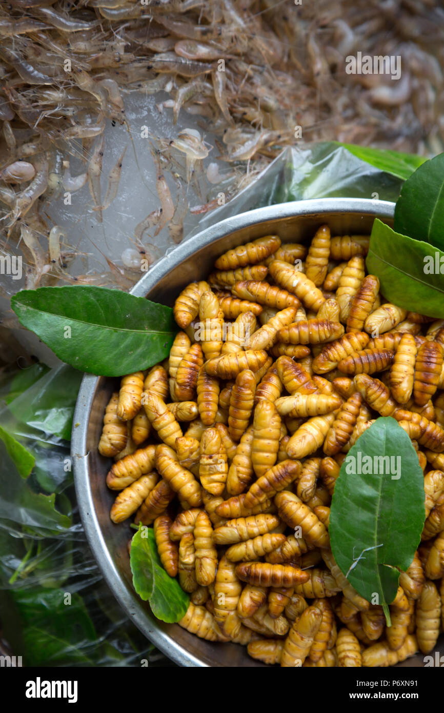 Worms for sale in Dong Xuan Market in Hanoi , Vietnam Stock Photo
