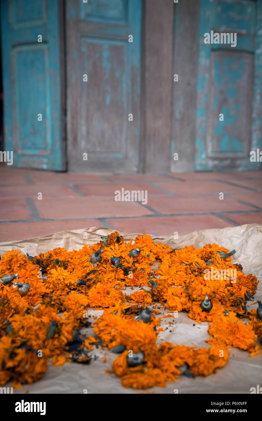 Flowers in a house in An Binh Vietnam Stock Photo
