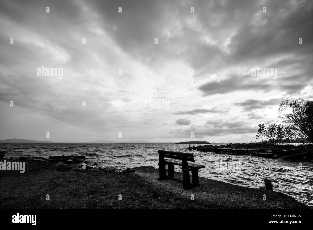 Relaxing on a park bench Black and White Stock Photos & Images - Alamy
