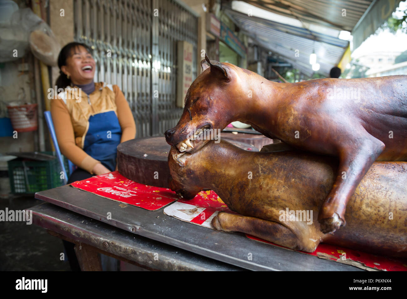 Dog meat for sale in market in Hanoi , Vietnam Stock Photo