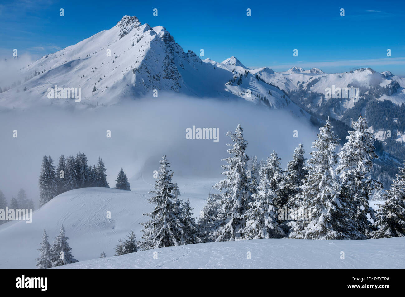 View at Litnisschrofen, Tannheim valley, AllgÃ¤u, Tyrol, Austria Stock Photo