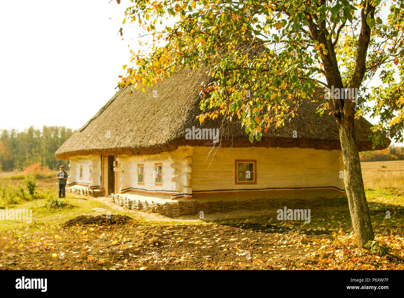 traditional ukrainian rural cottage with a straw roof Stock Photo - Alamy