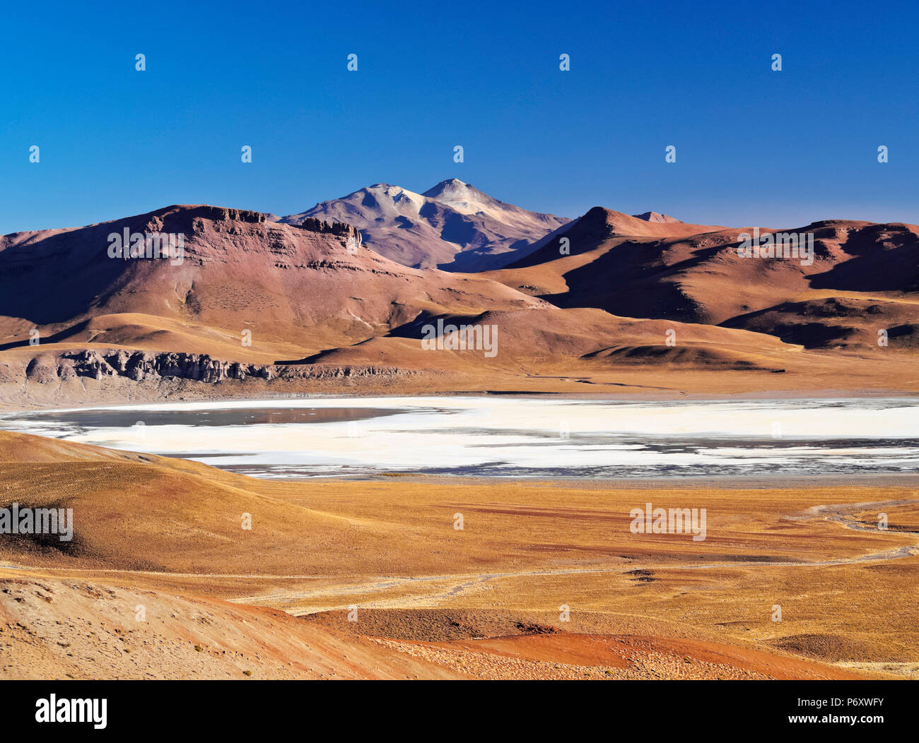Bolivia, Potosi Department, Sur Lipez Province, View towards Laguna Morejon and Volcano Uturuncu. Stock Photo