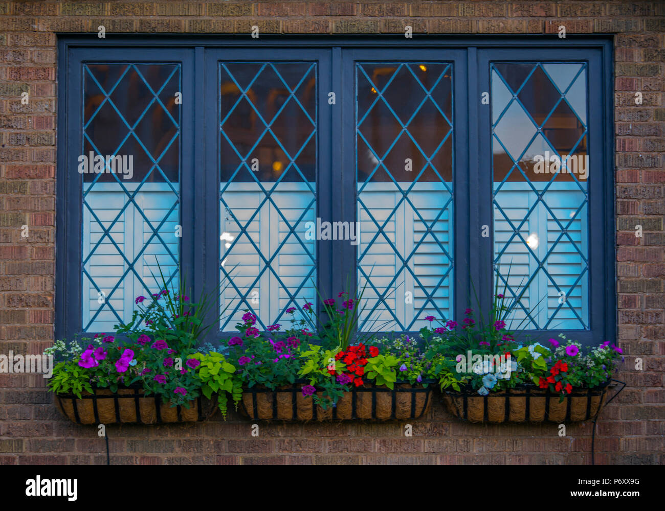 Flower pots with colorful flowers outside windows Stock Photo Alamy