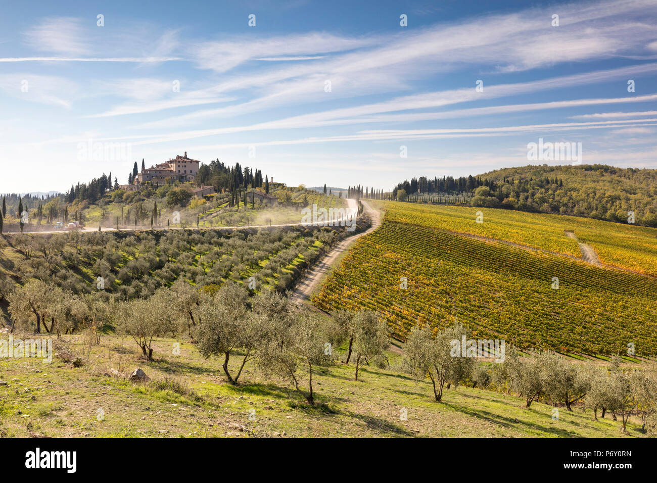 A stone house surrounded by vines in the autumn, Radda in Chianti,  Chianti, Tuscany, Italy Stock Photo