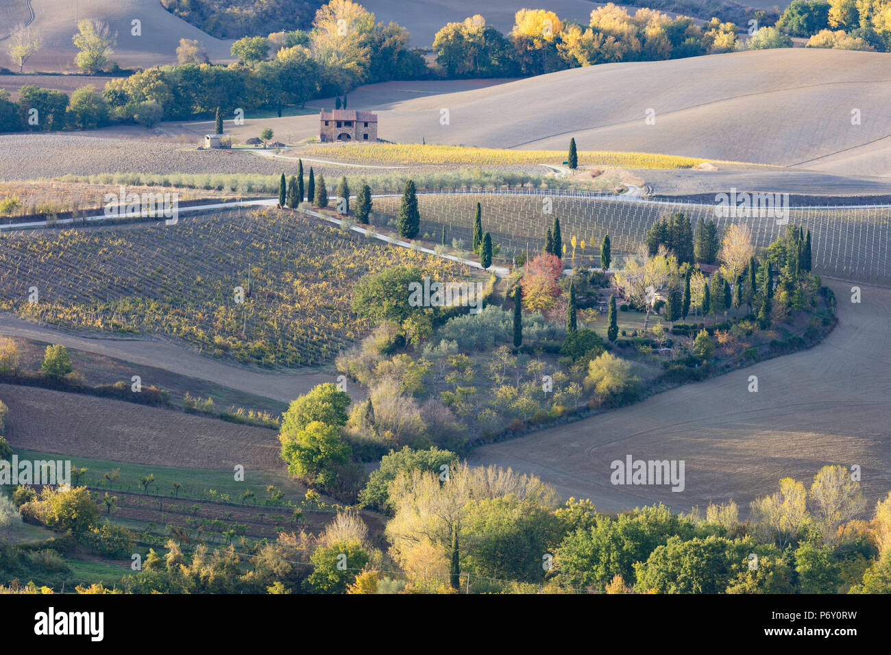A farmhouse surrounded by vines and ploughed fields in the autumn, Montepulciano, Val d'Orcia, Tuscany, Italy Stock Photo