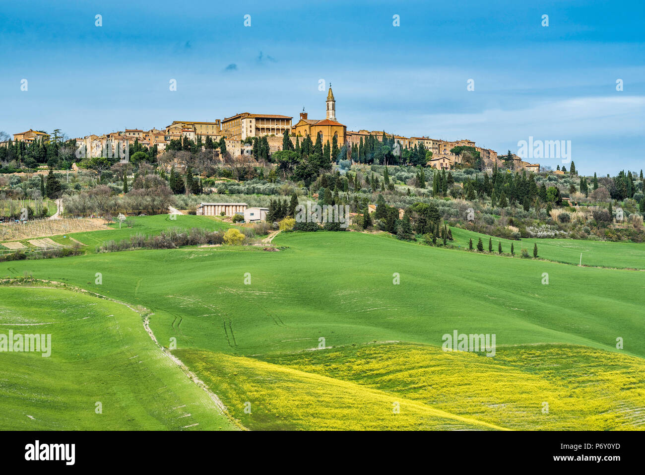 Pienza, Siena district, Tuscany, Italy. View of the green hills of Pienza with the village on top. Stock Photo