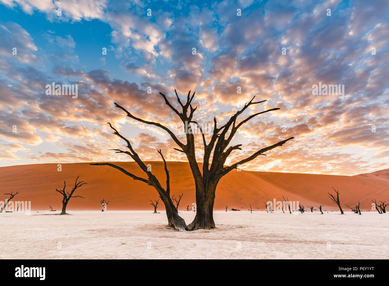 Deadvlei clay pan, Namib-Naukluft National Park, Namibia, Africa. Dead acacia trees and sand dunes. Stock Photo