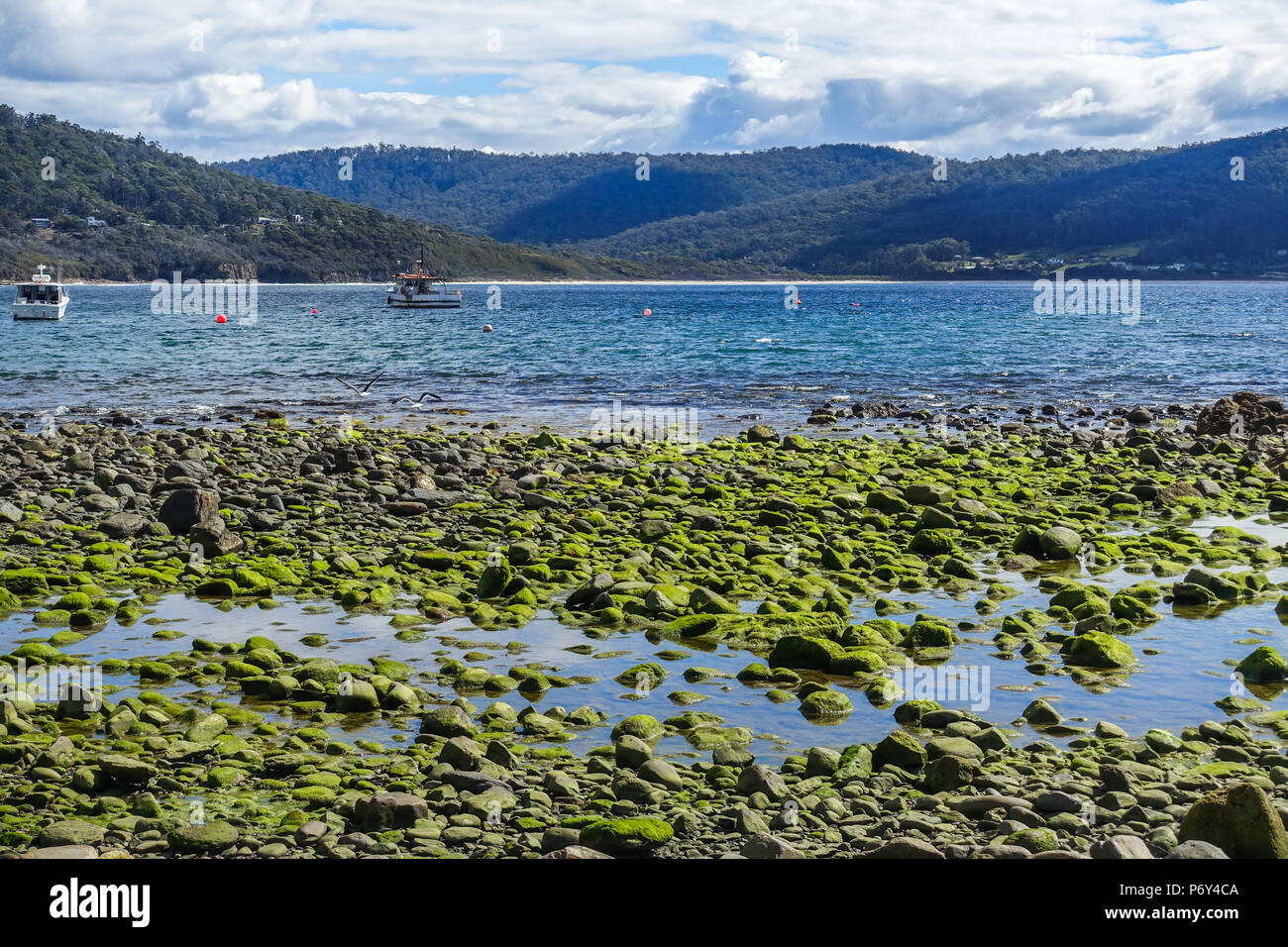 Beautiful view of rocky beach, blue sea and mountains in Pirates Bay near Fossil Island in Tasmania, Australia. Stock Photo