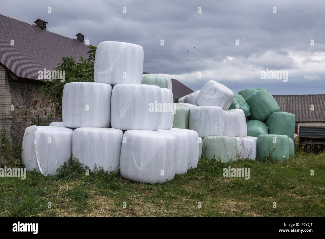 Stacked like a pyramid,bales of silage , wrapped in a membrane.Food for the cows in the winter, near the barn for the cows.Farm in Podlasie, Poland. Stock Photo