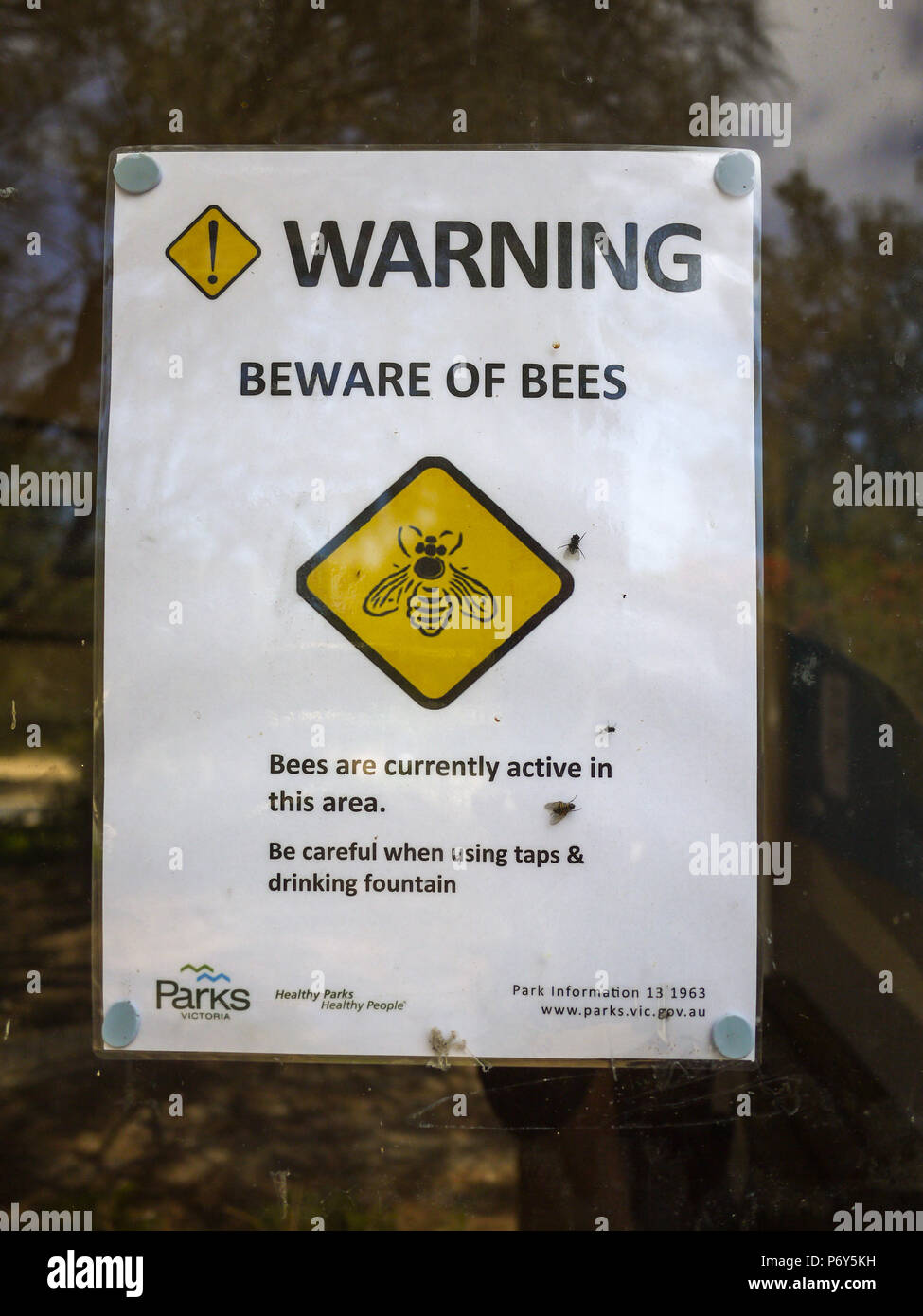 Warning sign of bees to remind visitors to be careful when using water taps. Point Nepean National Park, VIC Australia. Stock Photo