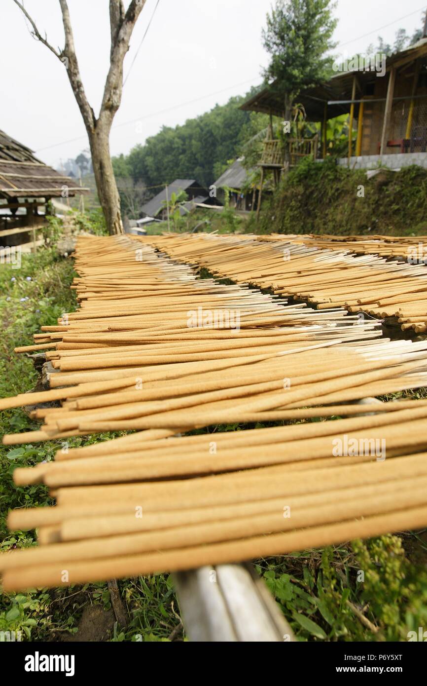 Homemade incense sticks drying Stock Photo Alamy