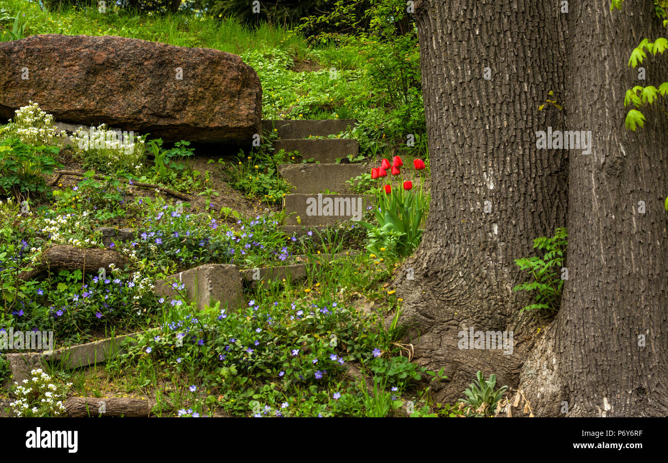 Outdoor landscape park hi-res stock photography and images - Alamy