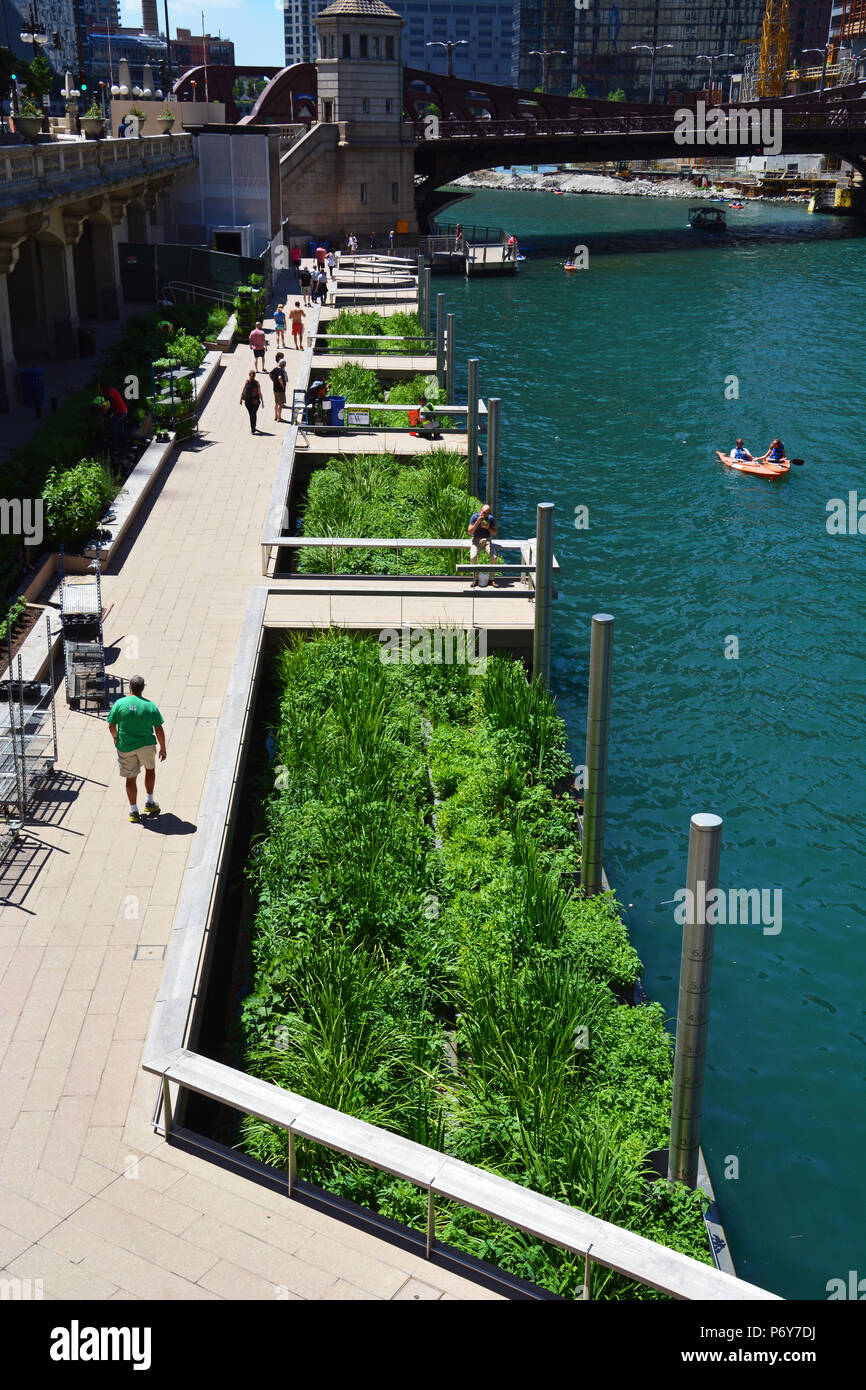 Chicago riverwalk floating gardens hires stock photography and images