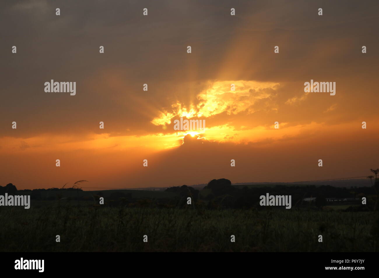 Blinding sun rays hi-res stock photography and images - Alamy