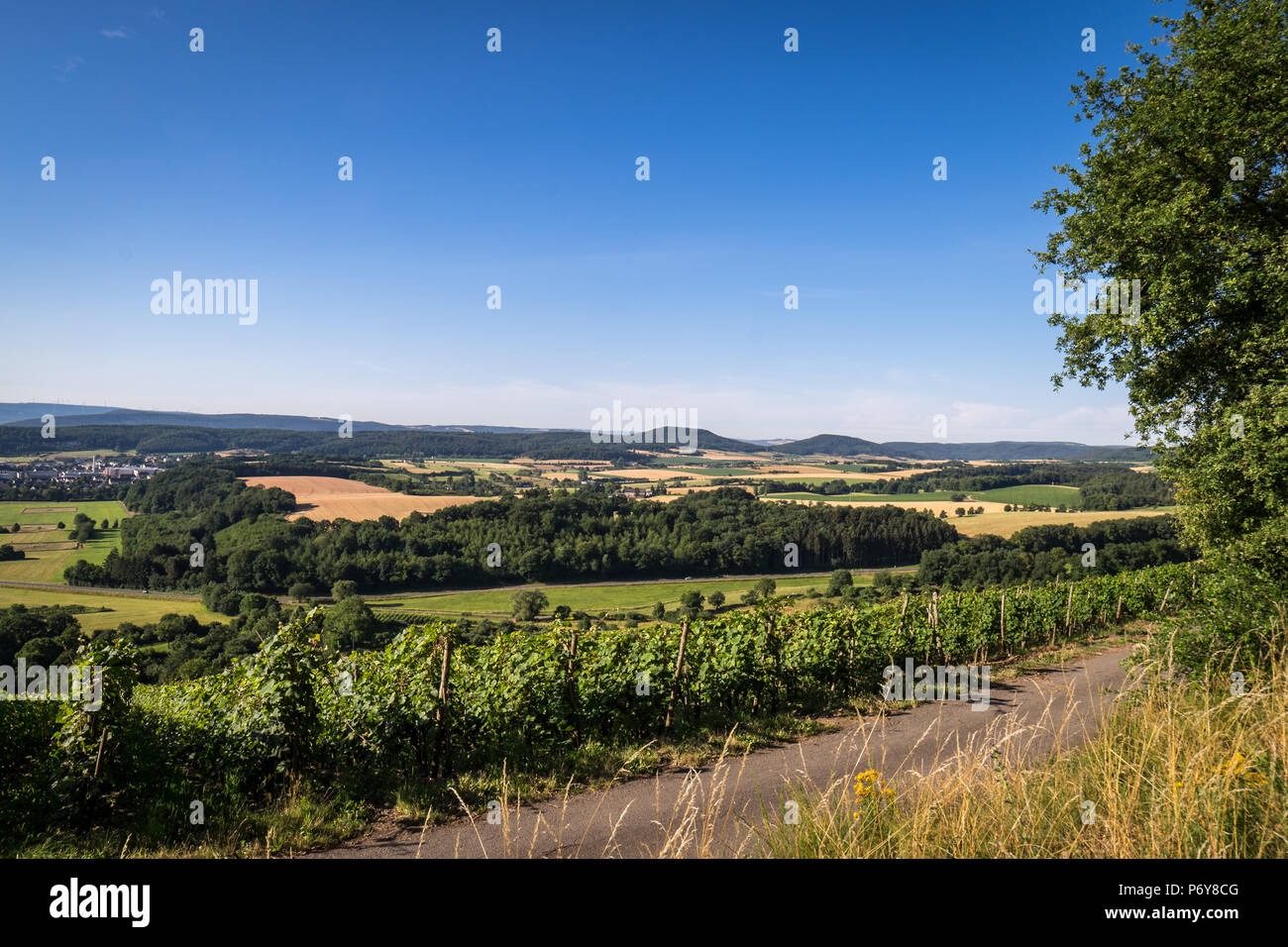 View Germany wine Stock Photo